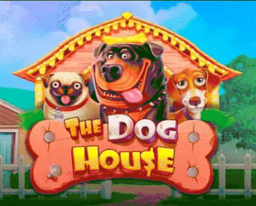 play the dog house in 711casino official